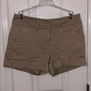 New York & Company Shorts